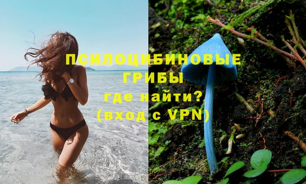 твердый Билибино