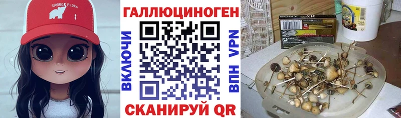 Псилоцибиновые грибы мицелий  Киселёвск 